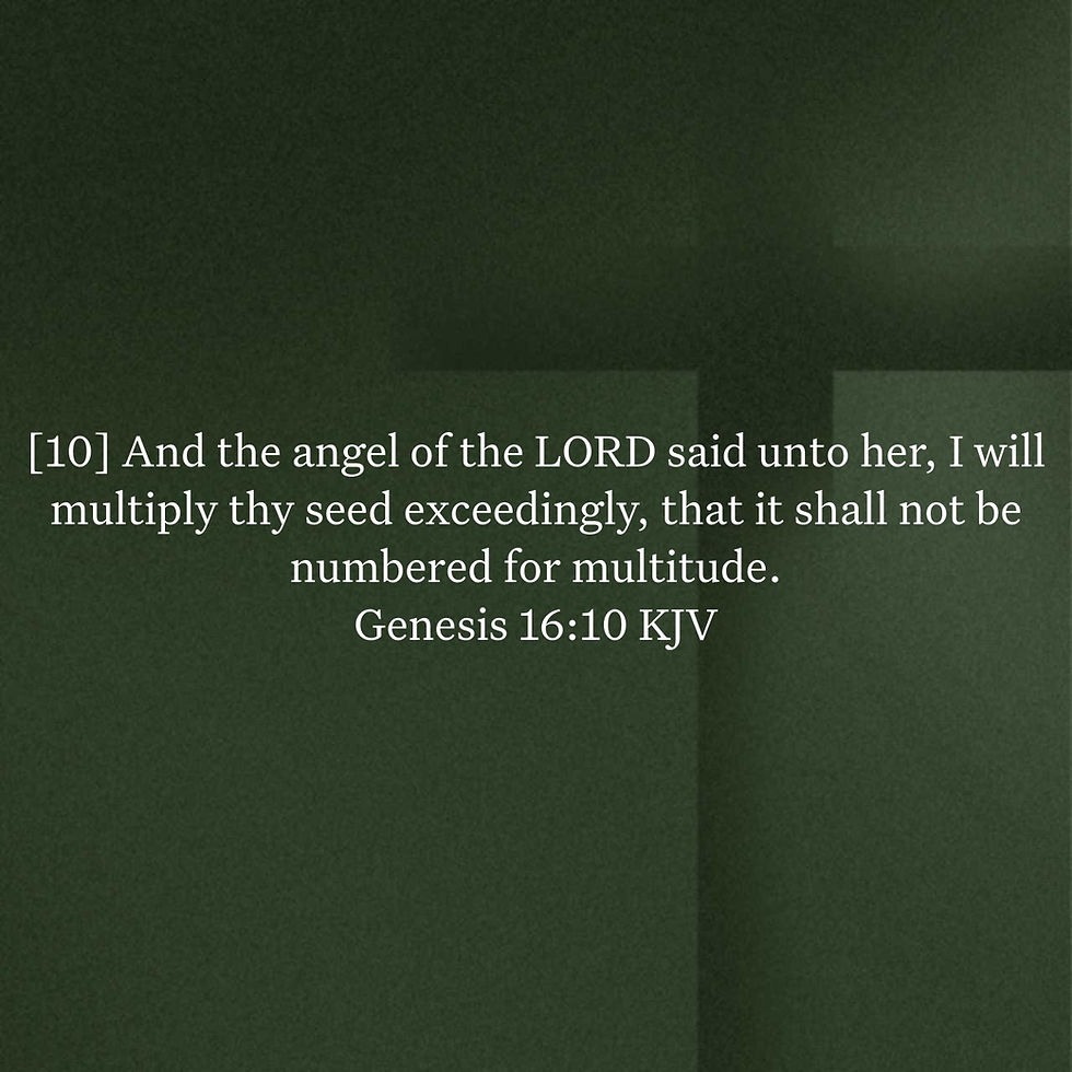 Genesis 16:10 Daily Devotional & Meaning – Hagar’s Blessing, Ishmael’s Descendants, and God’s Grace Beyond Failure