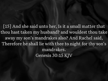 Genesis 30:15 Daily Devotional & Meaning – Rachel Bargained for the Mandrakes