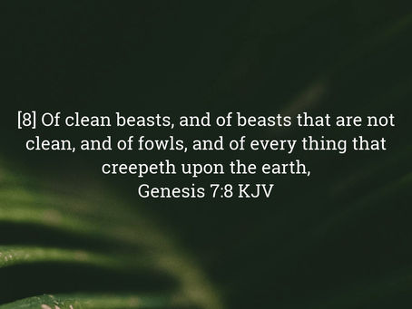 Genesis 7:8 Daily Devotional & Meaning – God’s Provision and the Gathering of All Creatures