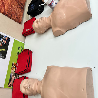 Rescue Mannequins