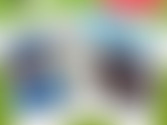 Cyclists in blue jerseys pose near a railing by the sea, celebrating a 100km ride for GO100. Green background with "Alliance" text visible.