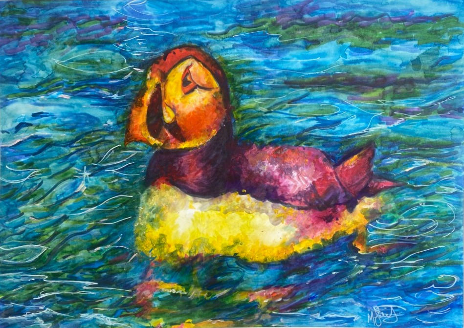 Herm Puffin. Prints.