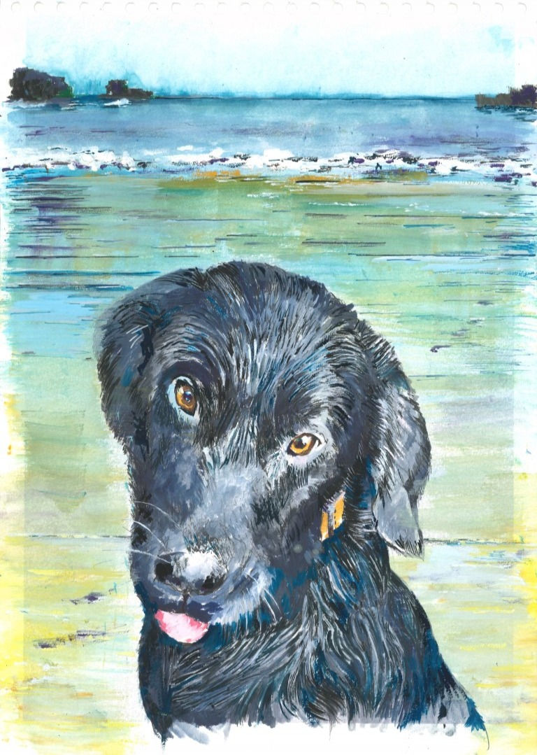 Black Labrador on Beach. Prints.