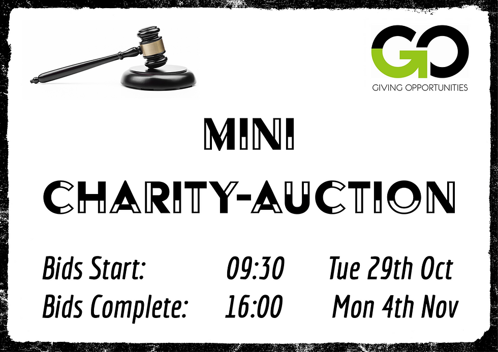 2024 YEAR IN REVIEW - Day 9 Year in Review - September - Mini Auctions
