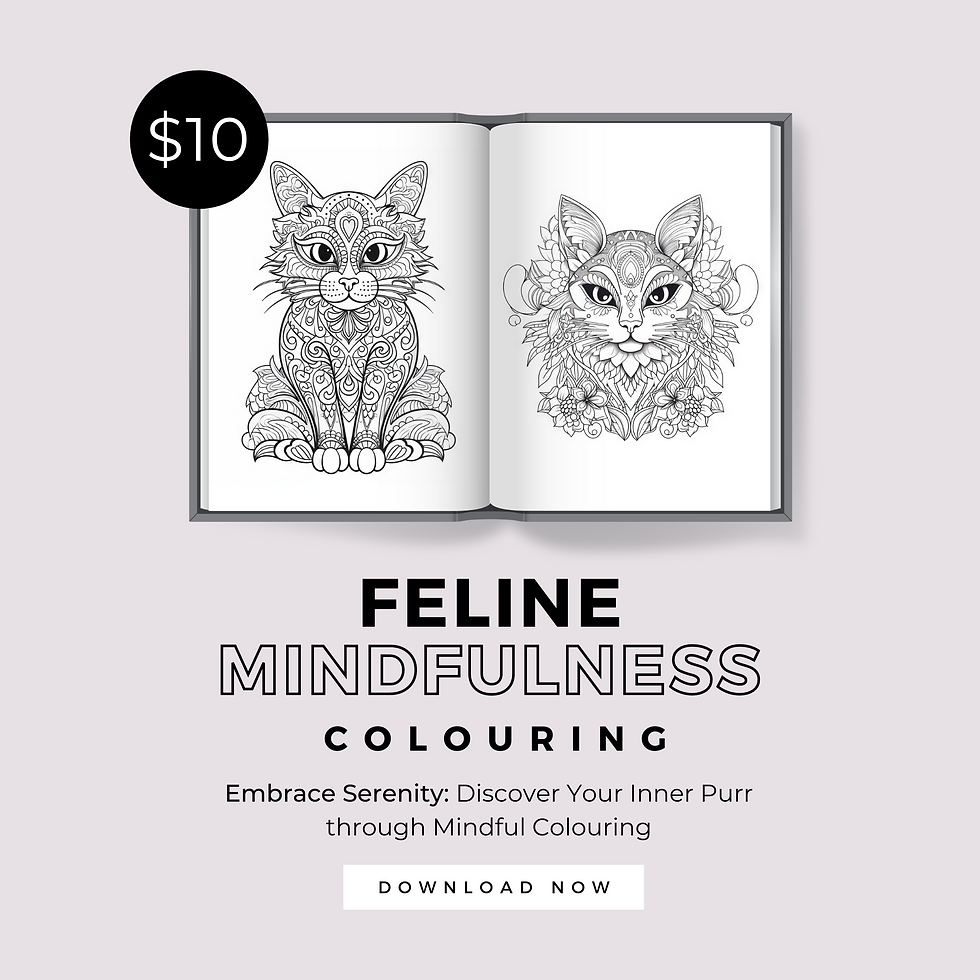Thumbnail: Feline Mindfulness Colouring:Discover Your Inner Purr Through Mindful Colouring