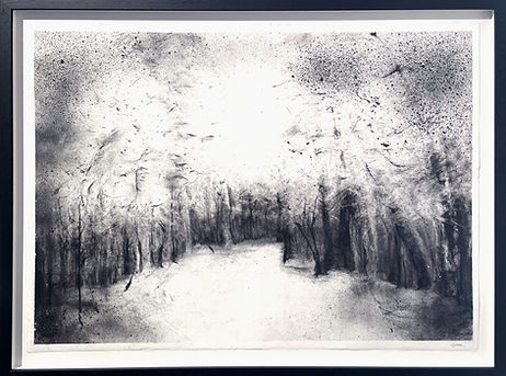 Woolff Gallery_Apolline Bokkerink_Clearing_Charcoal tree drawing_