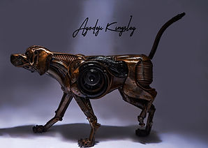 Ayodeji KIngsley, Paw-sitive