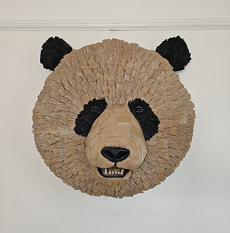 Panda.jpg