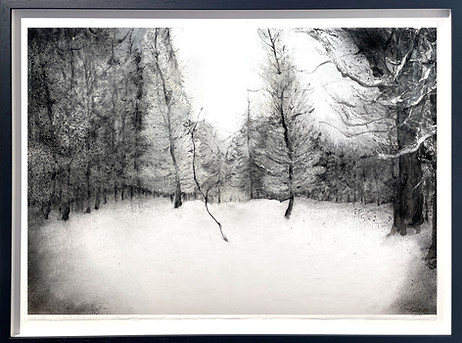 Woolff Gallery_Apolline Bokkerink_Clearing_Charcoal tree drawing_