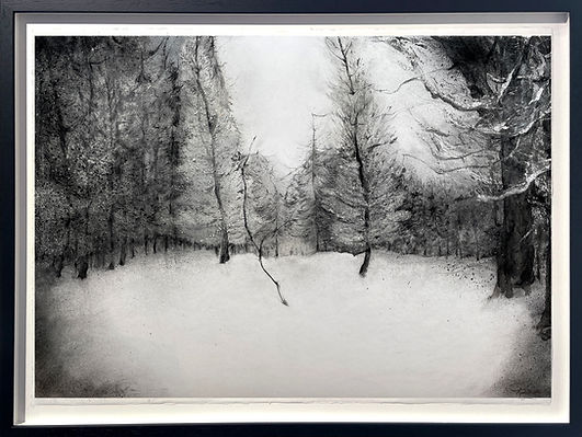 Apolline Bokkerink_Clearing_Charcoal, glue on paper_81 x 62 cm (inc. black frame).jpeg