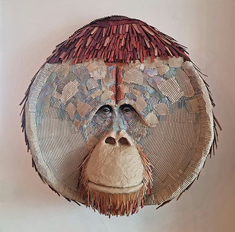 Woolff Gallery_Josh Gluckstein_Orangutan