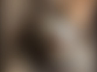 Le léchage chez le chat, ça veut dire quoi ?