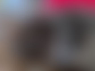 Pourquoi attendre les 8 semaines avant d’adopter son chaton?