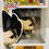 Thumbnail: Dragon Ball Super: Broly Gogeta Funko Pop! Vinyl Figure #1863