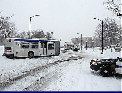 City Bus 405x305.jpeg