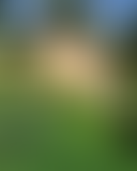 Opening up to the Light