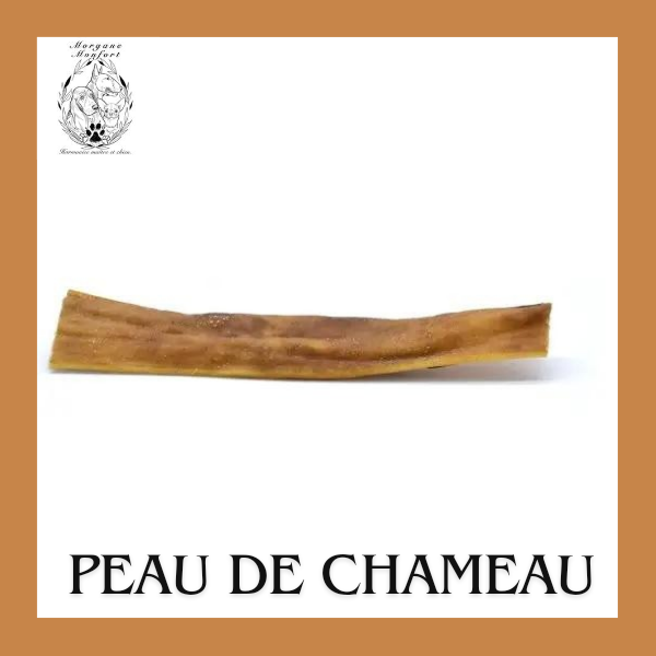 Miniature : Peaux séchées