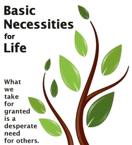 basic needs