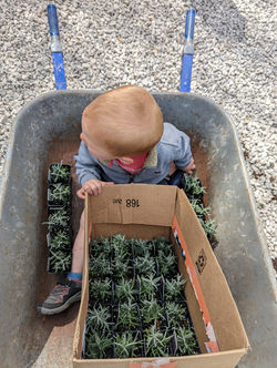 PXL_20220424_162511688