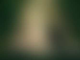 An adventure motorcyclist riding through a scenic, tree-canopied forest road near Lucknow with golden morning sunlight filtering through the trees.