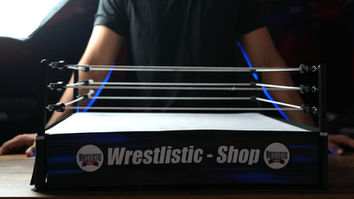 wwe action figure ring