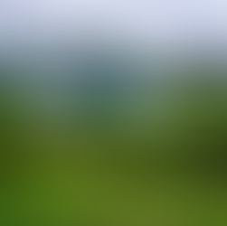 Chitral & Shilajit: Cultural Connection with Nature