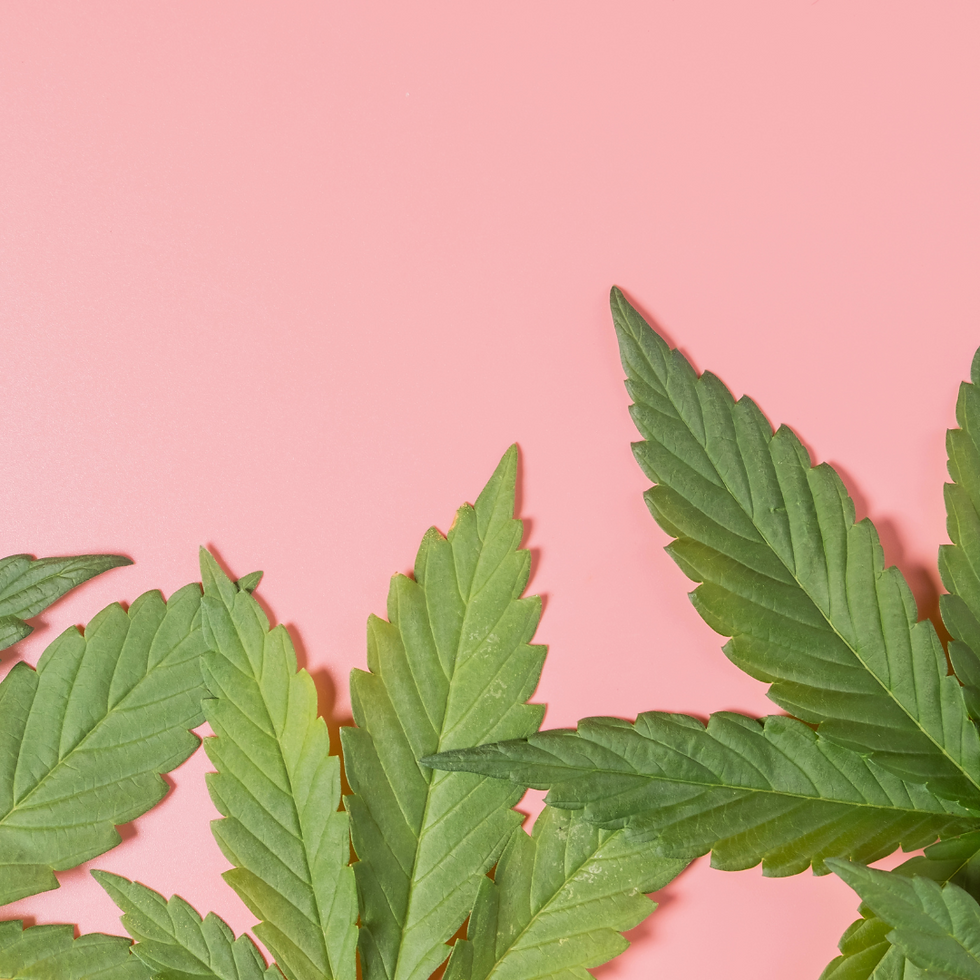 pinkleaves.png