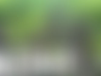 Why is Cannabis Still Schedule 1?