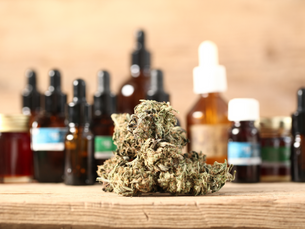 A Simple Guide to the World of Cannabinoid Hemp Products