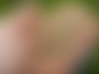 Ready to Plant Hemp!