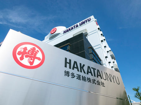 大学等新卒について