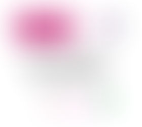 DIVORCIO ONLINE COMO SE TRAMITA ?