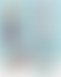 12/1 ~ Christmas Parade, Tree Lighting & More