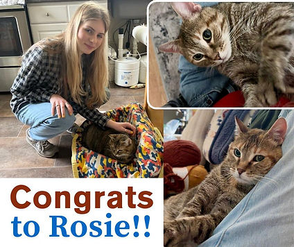 Rosie Adopted.jpg