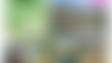 「植育」イベント みどりのサンタウォーク~お花を公園と街にとどけよう!~参加者募集