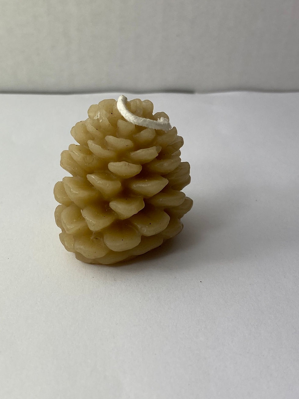 Pinecone Small