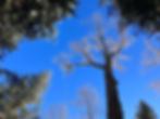 72080762282__FE47357C-8478-4717-B6F0-8D0C7E8B166E.jpg