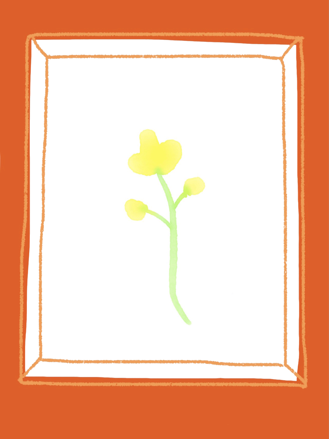 IMG_4031-3.gif