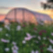 20220817_060512.jpg