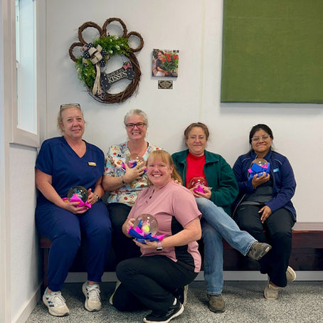 Welcome to Animal Friends of Washington County