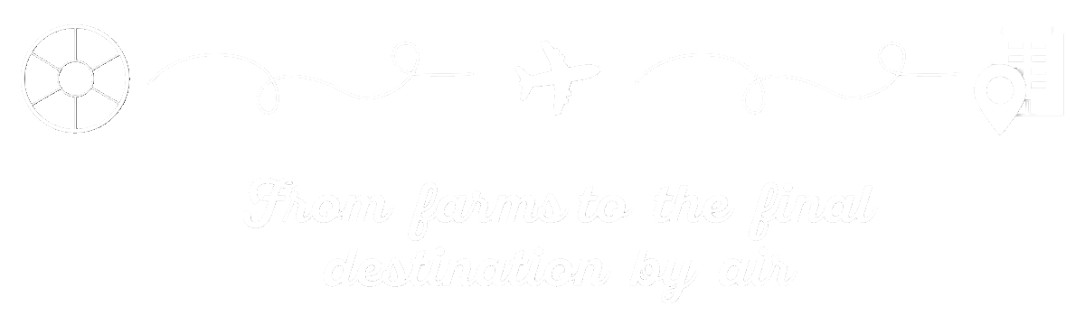 ezgif.com-gif-maker (16).gif