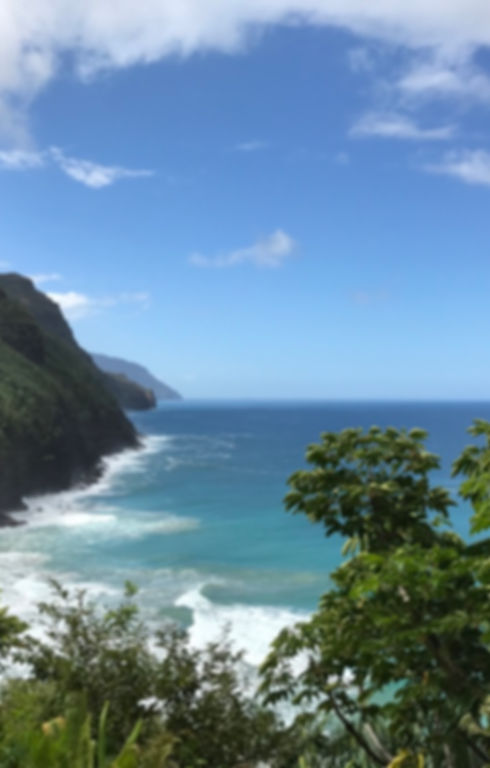 4562D074-4FFF-4F91-AB6C-FBA41153B017_1_105_c.jpeg