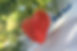 IMG_6123_edited.jpg