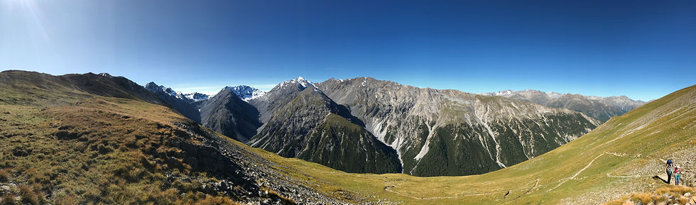 Natur pur