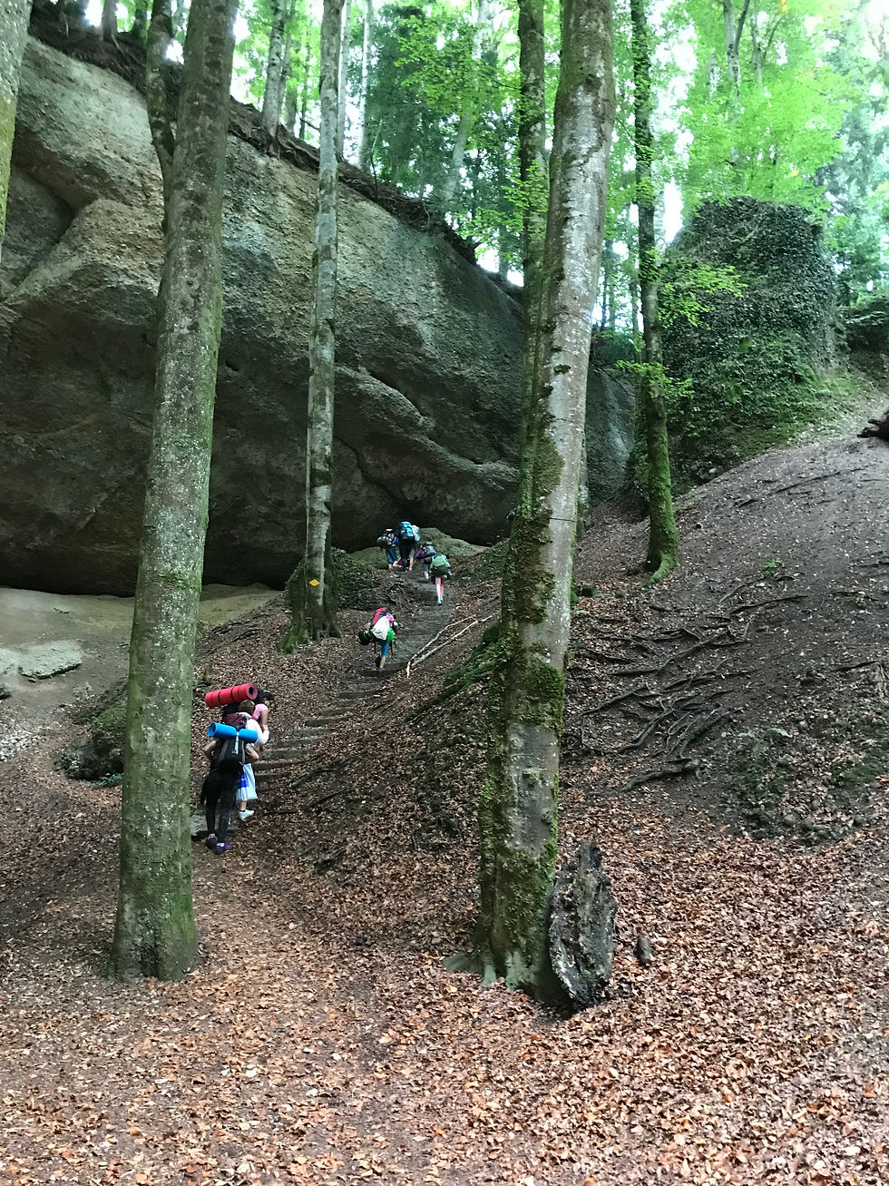 Über die Grenzen hinaus