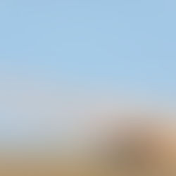 «Жауынгерлік достастық-2025»: