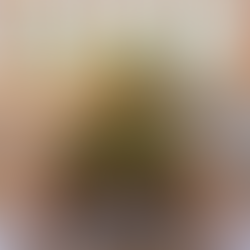 The Red Barn at Southlands Wedding