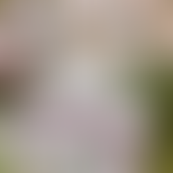 The Red Barn at Southlands Wedding