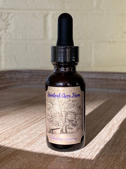 Elderberry Tincture