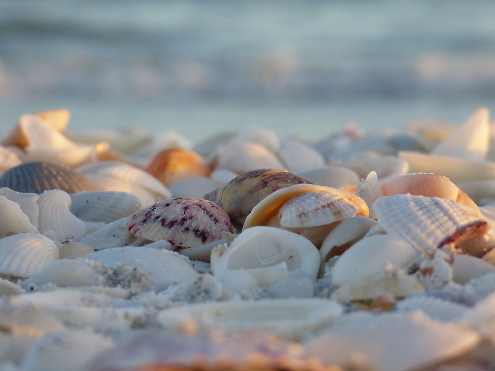 Fort Myers and Sanibel Island, Florida